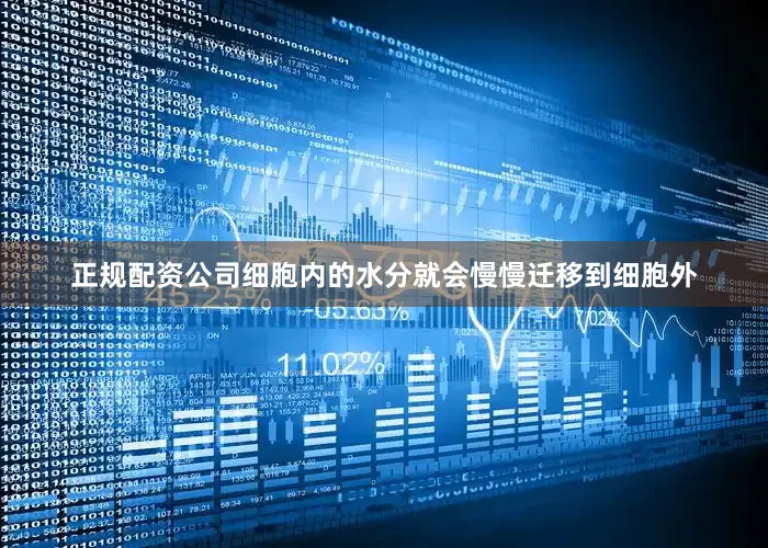 正规配资公司细胞内的水分就会慢慢迁移到细胞外