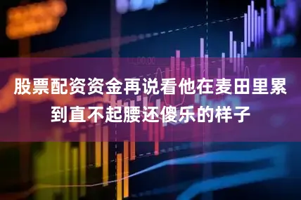 股票配资资金再说看他在麦田里累到直不起腰还傻乐的样子