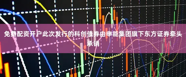 免费配资开户此次发行的科创债券由申能集团旗下东方证券牵头承销